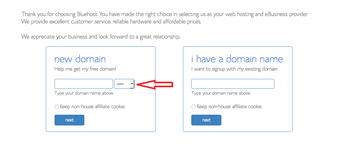 Choosing a Domain Name, Domain Name Bluehost