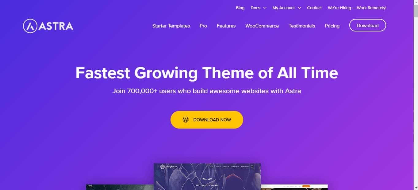 Astra WordPress Theme