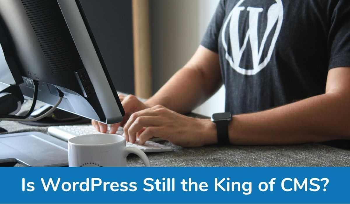 wordpress king of cms