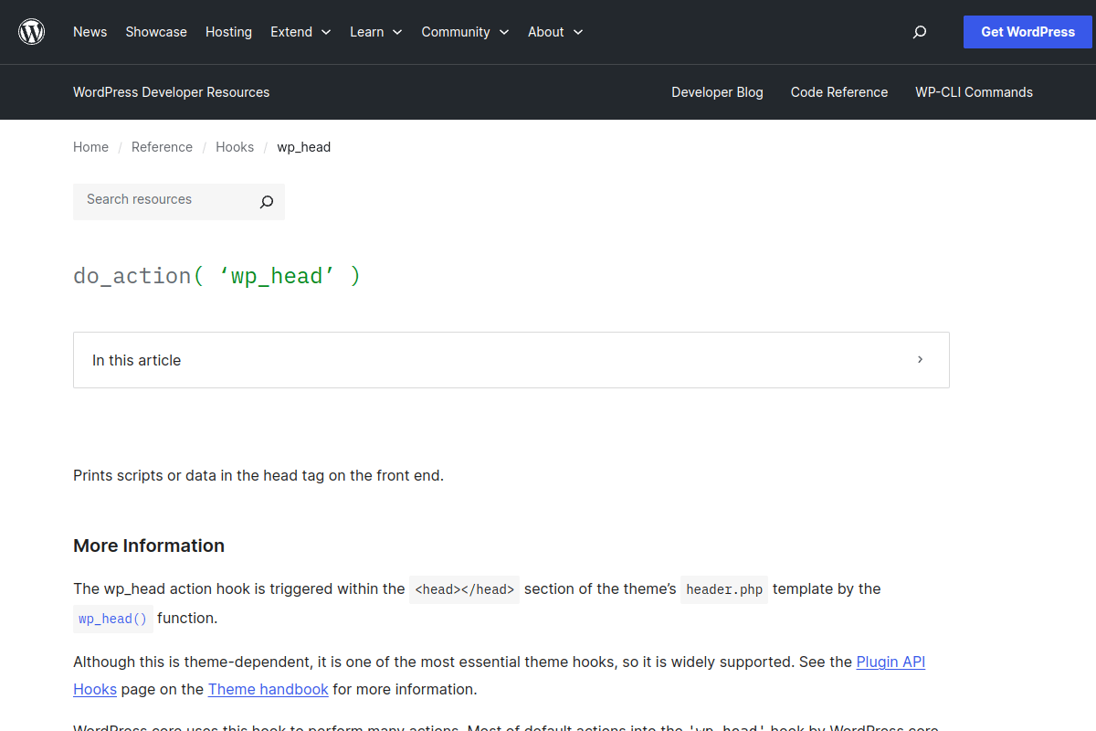 WordPress developer documentation for the wp_head action hook used to output custom meta tags in the HTML head section