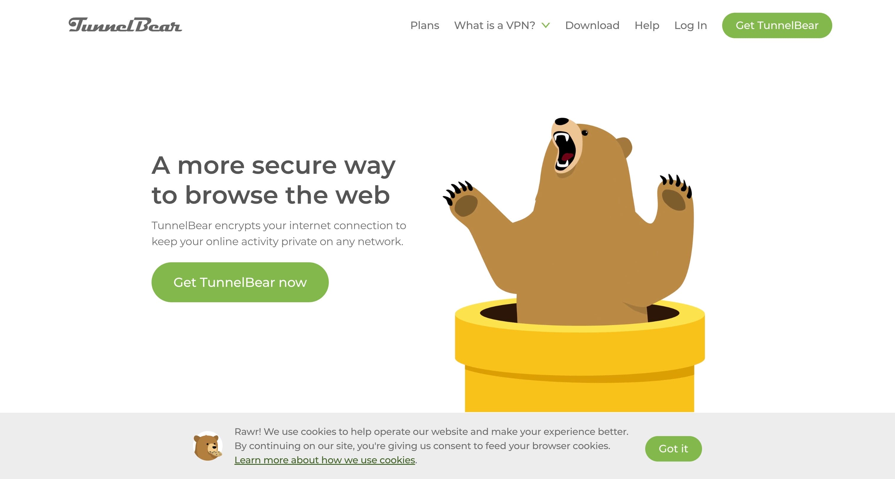 TunnelBear VPN homepage showing simple and friendly VPN service with bear-themed interface